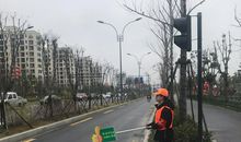 寒假社会实践—小小文明劝导员