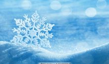 我是一片小小的雪花