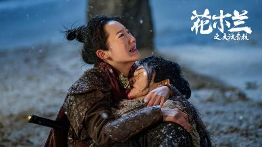 关于花木兰沙漠救援的思考
