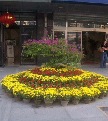 学校花坛