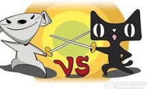 精彩的猫狗大战