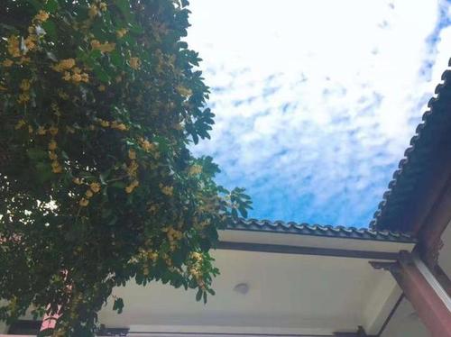 甜蜜的秋天
