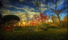 感谢绿茵盛装莅临我的青春