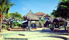 “自由”的日子