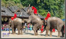 云南之旅——逃生记