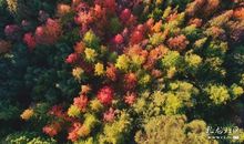 春，多姿多彩的季节