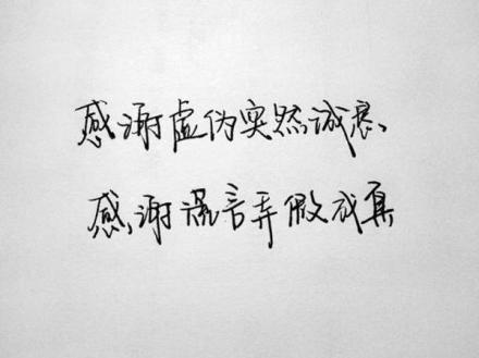 谢谢你的谎言