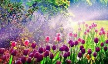 一路成长，一路芬芳