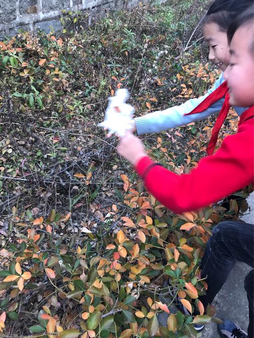 看到垃圾时，您会捡起来吗？