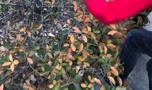 见到垃圾你会捡吗？