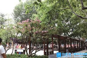 关于“寻找东安”的思考