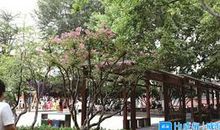 《寻找董黯》观后感