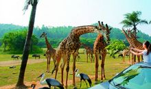 难忘的动物园自驾游