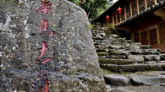 茶马路