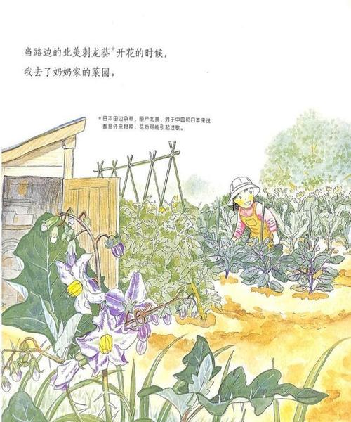 奶奶的菜园里的四个季节