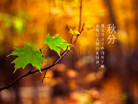 秋分