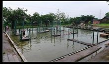 盈香生态园一日游