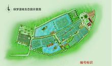 我的“绿色生态梦”