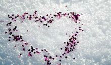 雪花下我们擦肩而过