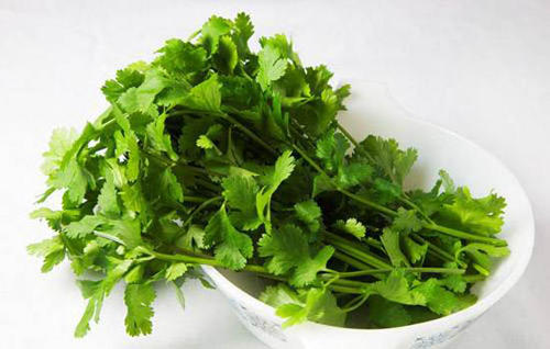 大香菜