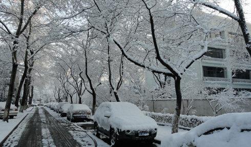 校园雪