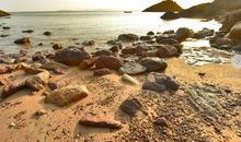 拭去浮华求本真