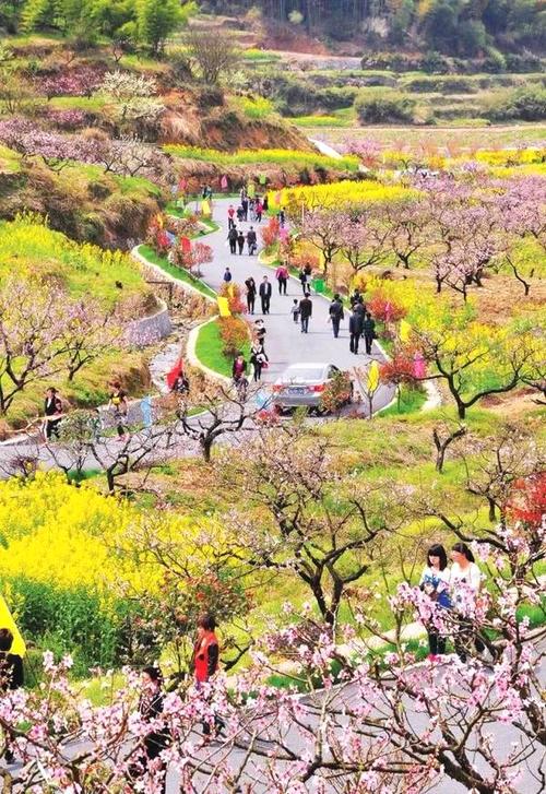 桐庐河边寻花
