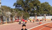 记一次田径训练