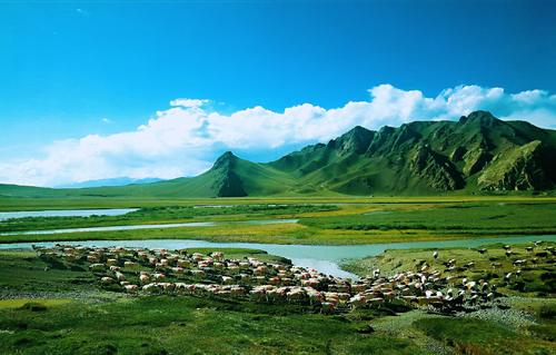 另一个风景