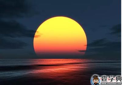 努力工作，梦想绽放