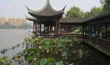 我在莫愁湖找到了春天