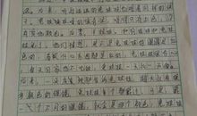 小狐狸弗朗特读后感