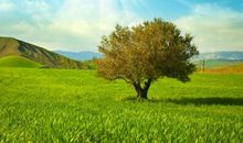 抓住生命中的美好