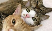 困难来吧我无所谓惧