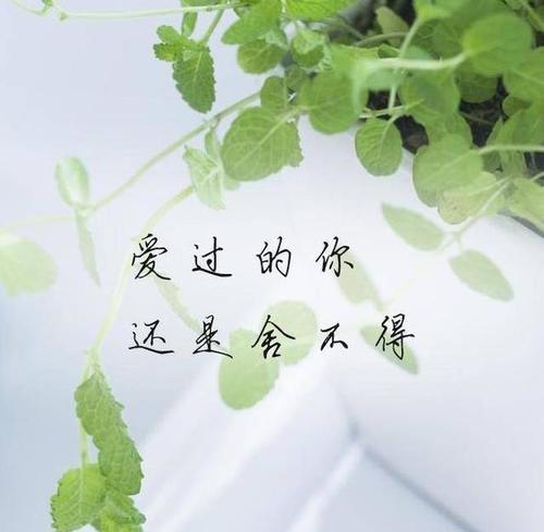 我知道想念什么