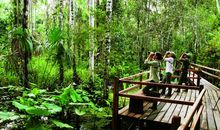 靠近生态一点点