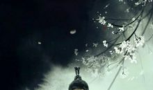 流年匆匆爱相随