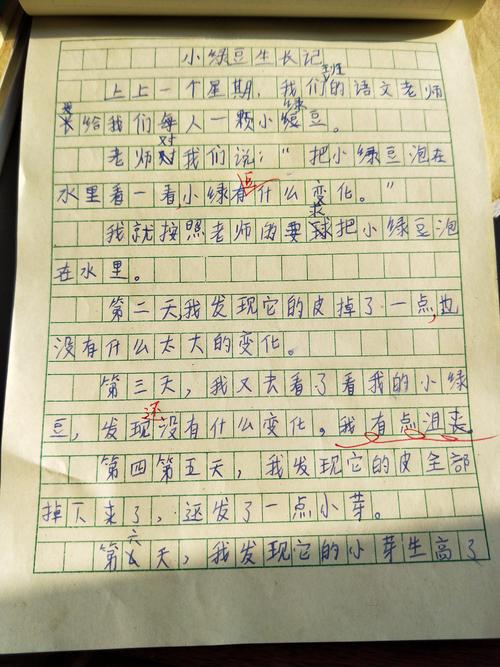 变态成分变成了兔子