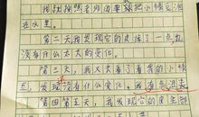 变形记作文变成兔子