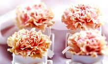 送给亲爱的妈妈