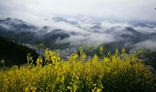 我爱你，家乡的山