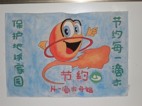 环境保护，从我做起