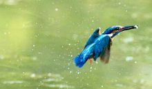 为你而来的等待