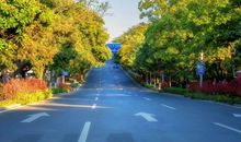 一路岁月一路叹