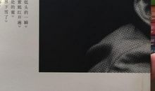 北方的盐读后感