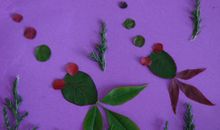 我不想变成一片叶子