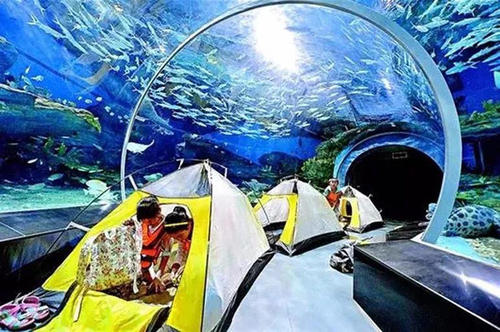水族馆里美好的夜晚