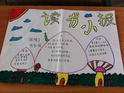 我的夏天收获