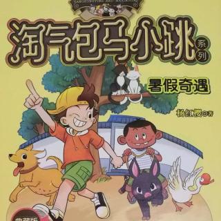 读《淘气堡马小调：暑假历险记》后的感想