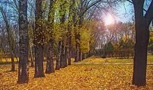 给温暖留些空隙